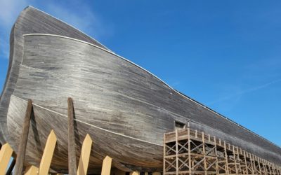 L’arca della Salvezza: una fede che sfida il diluvio