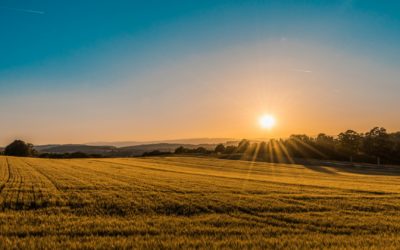 Vivere come figli del giorno